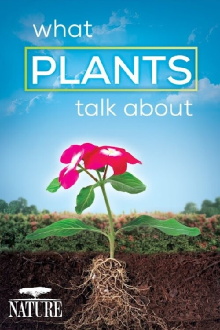 What Plants Talk About Trailer