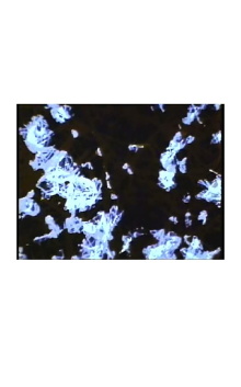 What The Water Said, Nos. 4-6 Trailer