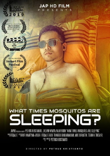 What Times Mosquitos Are Sleeping? Trailer