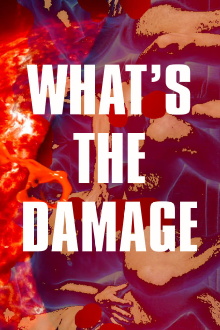 What's The Damage Trailer