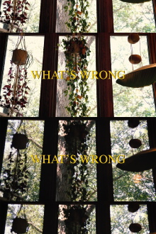 What's Wrong Trailer