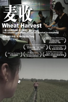 Wheat Harvest Trailer