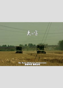 Wheat Passenger Trailer