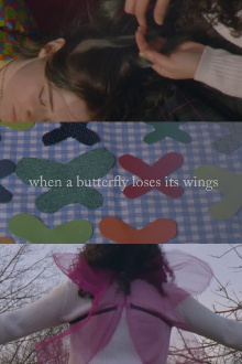 When A Butterfly Loses Its Wings Trailer