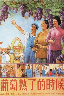 When Grapes Are Ripe Trailer
