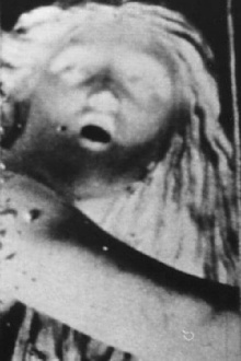 WHEN HEIDI POACHES Trailer