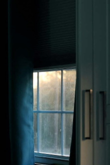 When Light Takes Form Trailer