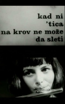 When Not Even a Bird Can Land on a Roof Trailer