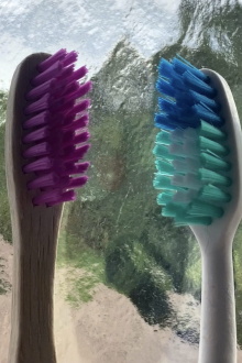 When Toothbrush Met Toothbrush Trailer