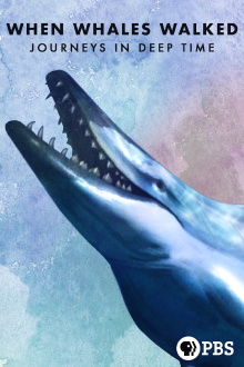 When Whales Walked: Journeys in Deep Time Trailer
