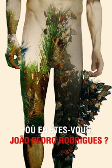 Where Do You Stand Now, João Pedro Rodrigues? Trailer