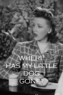 Where Has My Little Dog Gone Trailer
