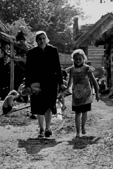 Where Is Our Home? Trailer