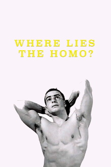 Where Lies the Homo? Trailer