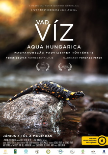 Where Rivers Run Wild: Aqua Hungarica Trailer
