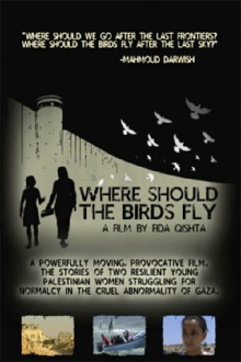 Where Should the Birds Fly? Trailer