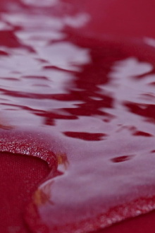 which image? Trailer