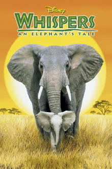 Whispers: An Elephant's Tale Trailer