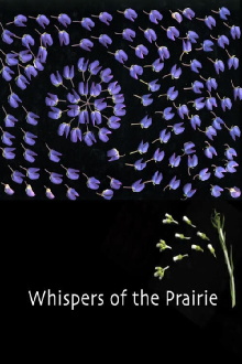Whispers of the Prairie Trailer