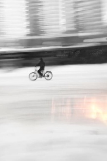 White Ash Trailer