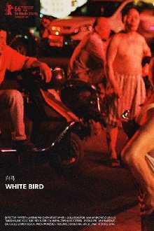 White Bird Trailer