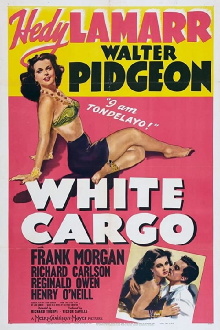 White Cargo Trailer