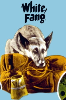 White Fang Trailer