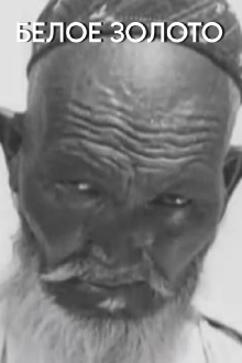 White Gold Trailer