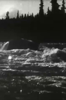 White Horse Rapids Trailer
