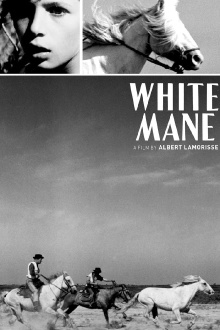 White Mane Trailer