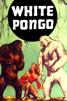 White Pongo Trailer