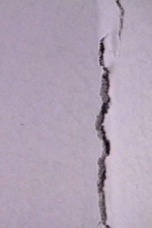White Screen Trailer