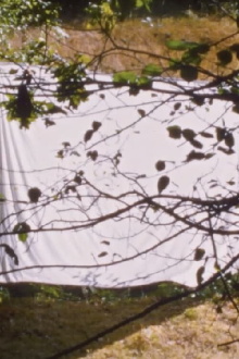White Screen (for Amy Halpern) Trailer