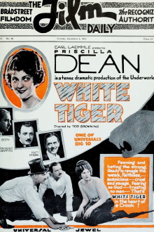 White Tiger Trailer