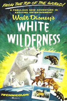 White Wilderness Trailer