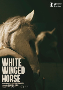 White Winged Horse Trailer