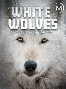 White Wolves: Ghosts of the Arctic Trailer