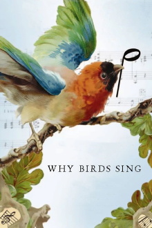 Why Birds Sing Trailer