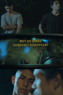 Why Do Birds Suddenly Disappear? Trailer