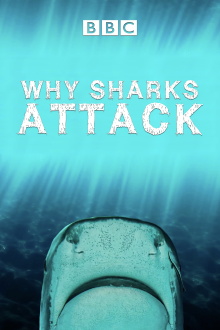 Why Sharks Attack Trailer