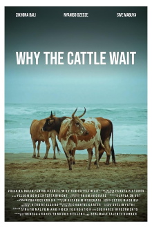 Why The Cattle Wait Trailer