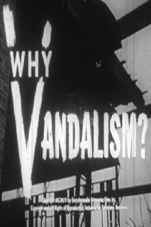 Why Vandalism? Trailer