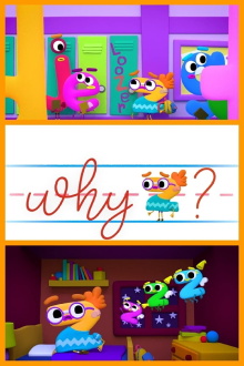 Why z? Trailer