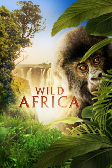 Wild Africa Trailer