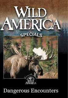 Wild America - Dangerous Encounters Trailer