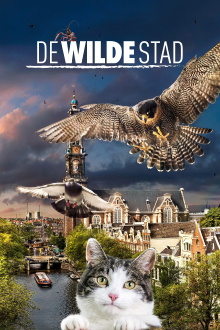 Wild Amsterdam Trailer