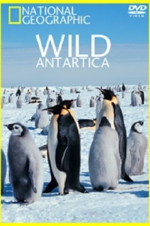 Wild Antarctica Trailer