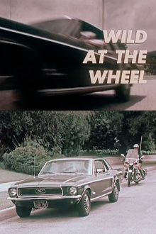 Wild at the Wheel Trailer