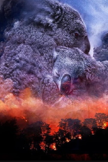 Wild Australia: After the Fires Trailer