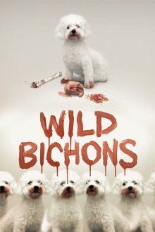 Wild Bichons Trailer